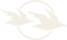 Huihoea